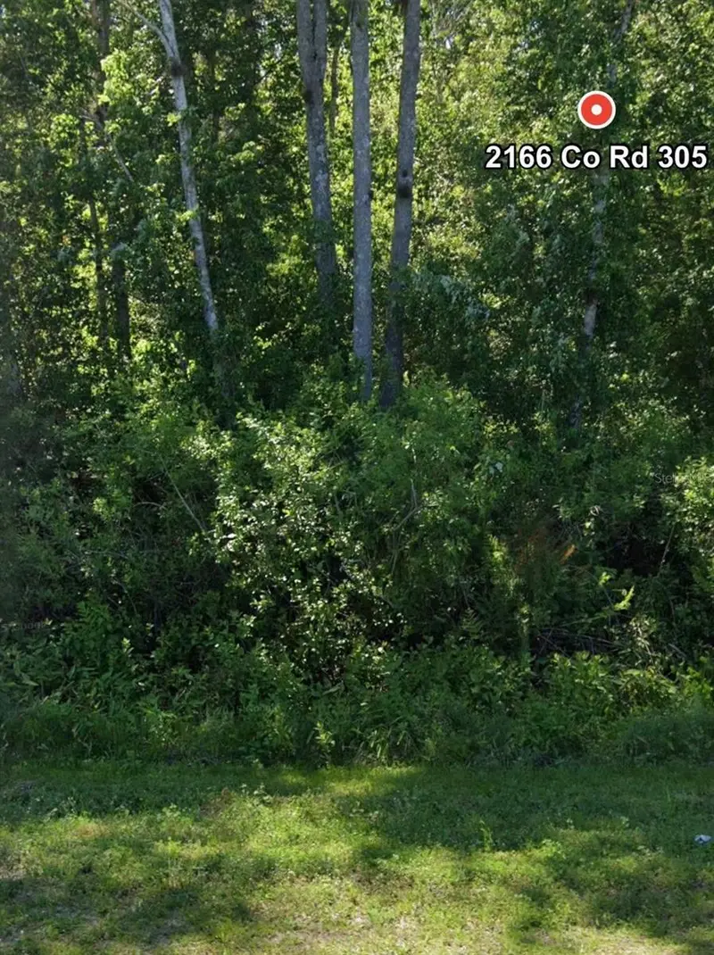 2166 Cr-305, FL