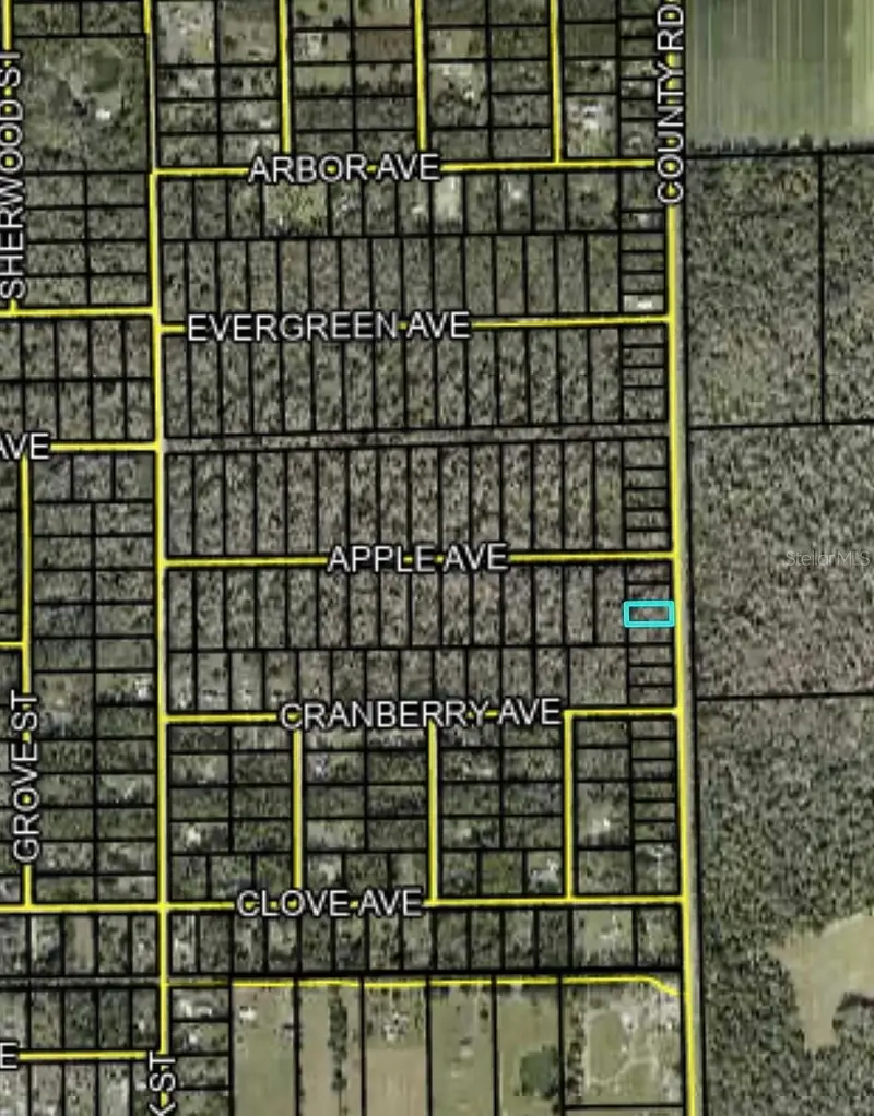 2166 Cr-305, FL