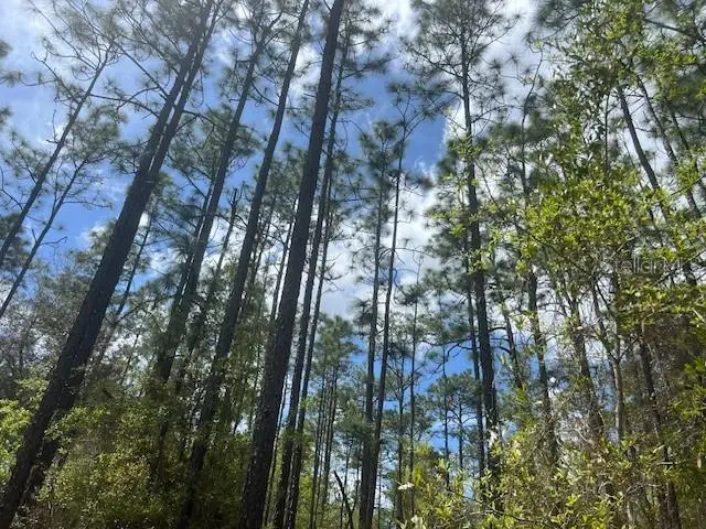 181 Whirlwind Loop, FL