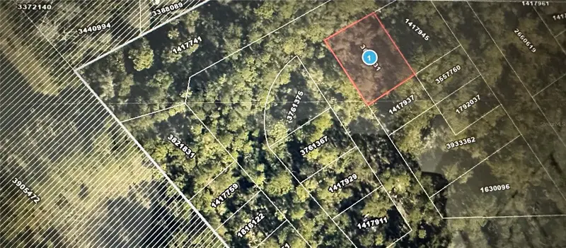 Lots 77 & 78 Park Forest Boulevard, FL