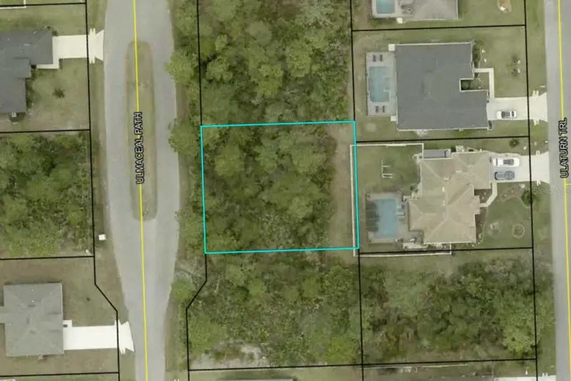 29 Ulmaceal Path, FL
