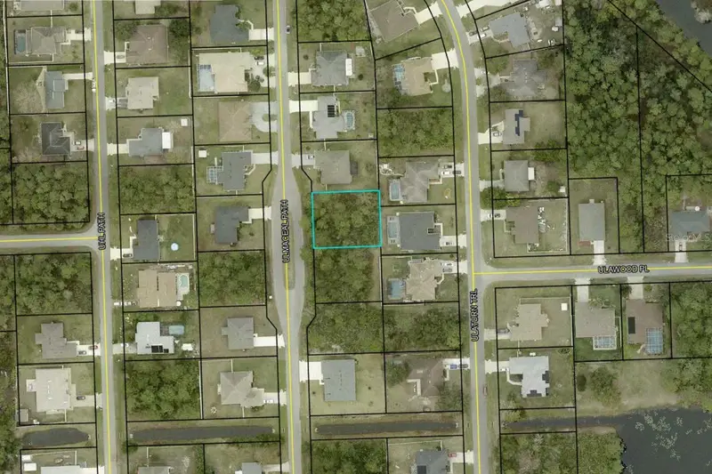 25 Ulmaceal Path, FL