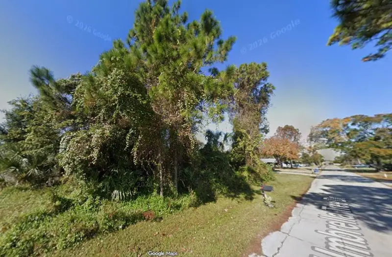 1328 Umbrella Tree Dr, FL