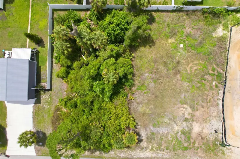 Remus Ave, FL