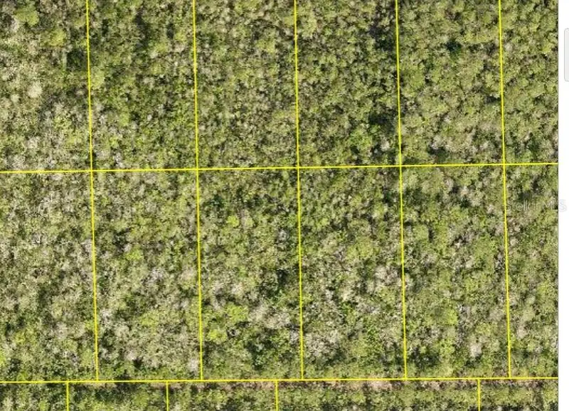 Pid 710801150230 No Street, FL