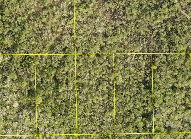 Pid 710801150090 No Street, FL