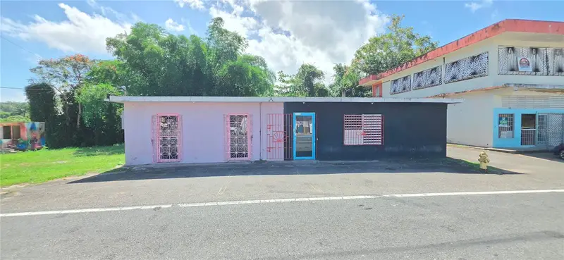 Carr #160 W Almirante, PR