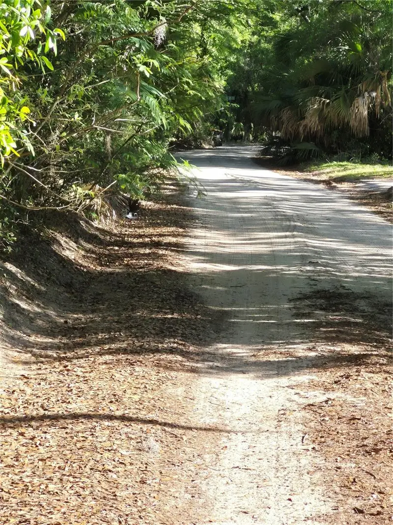 Sw 153rd Lane, FL