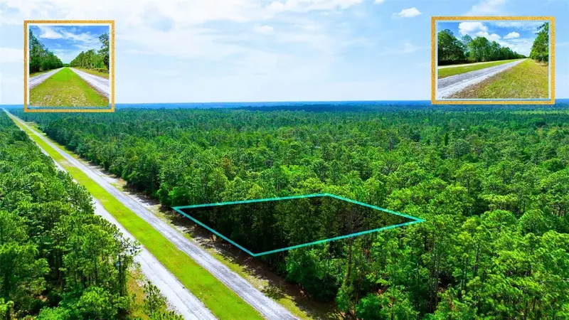 Tbd Lot 20 Japonica Ave, FL