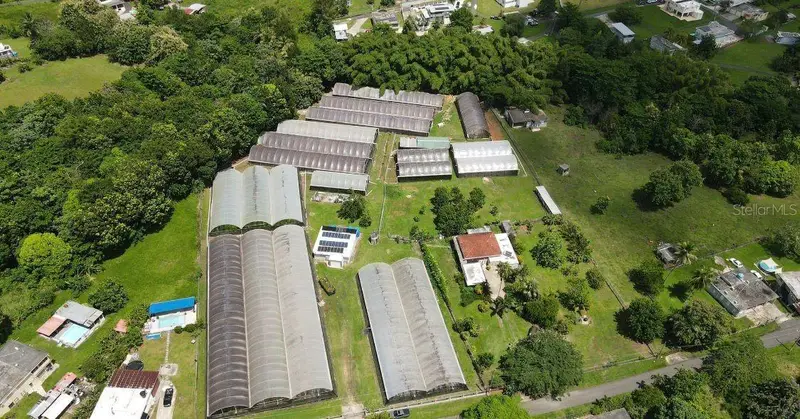 Carr. 137 Km 9.9 Bo. Franques, PR