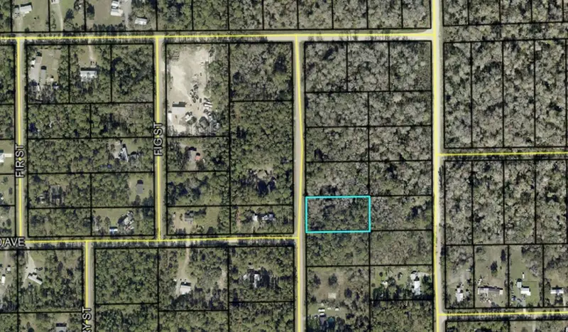 2157 Grove St, FL