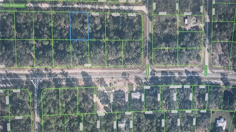 3216 Glen Springs Ave, FL