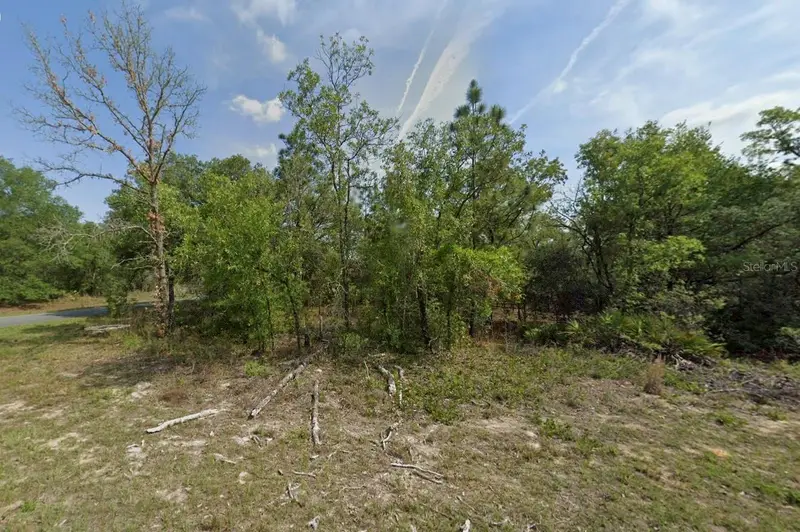 1389 W Pendleton St, FL