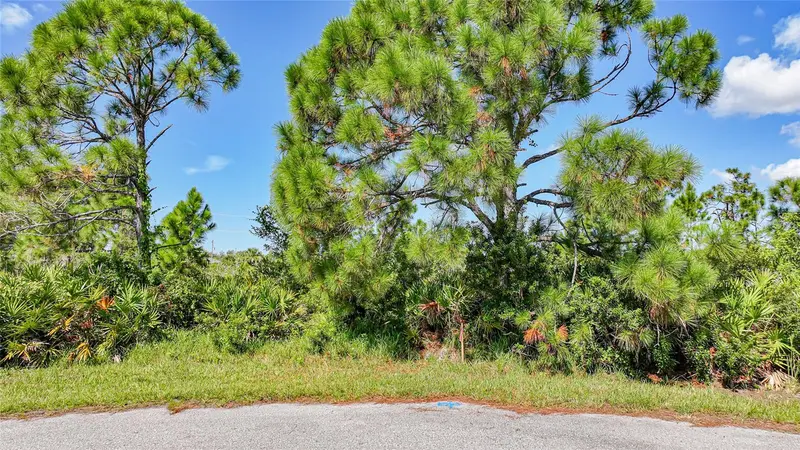 12 Dog Ct, FL