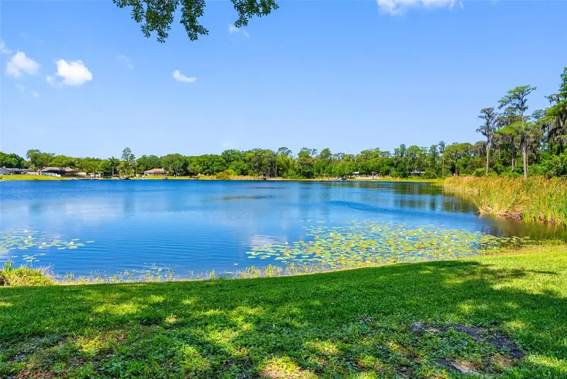 10209 Lake Grove Dr, FL