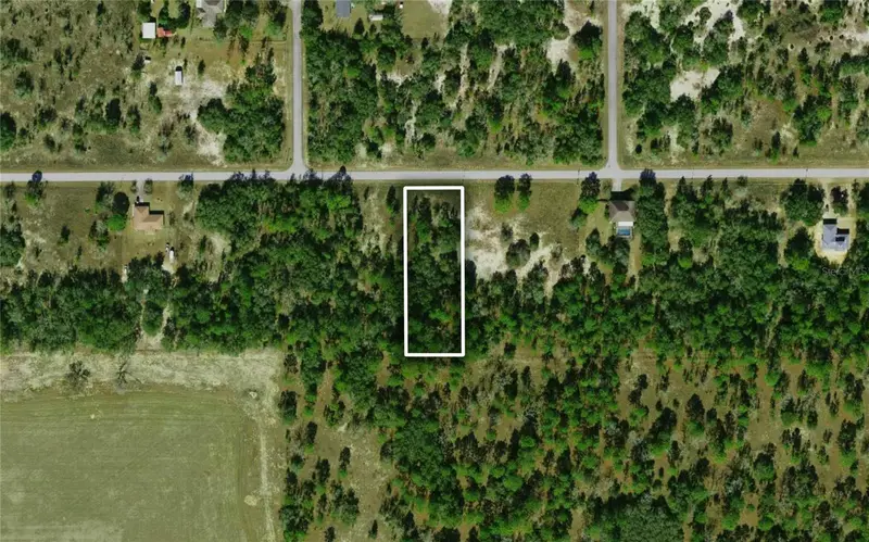 Tbd Tiger Lake Blvd, FL