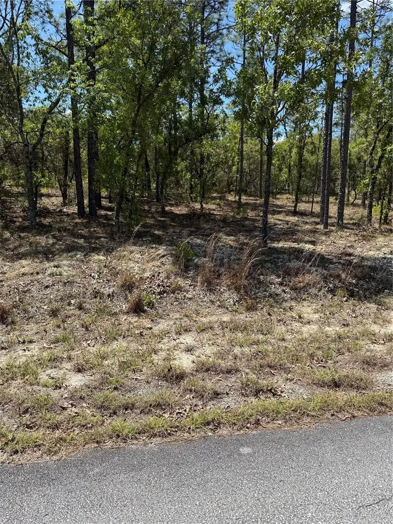 Lot# 8 Sw Mineola Ln, FL