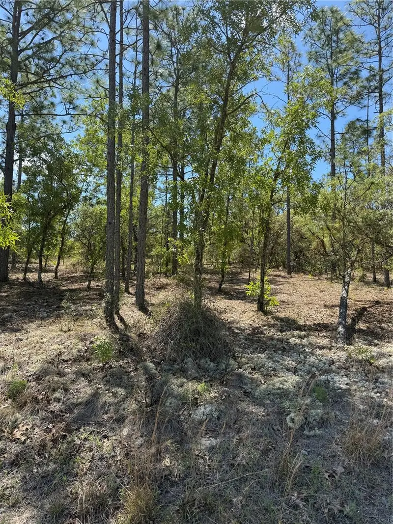 Lot# 8 Sw Mineola Ln, FL