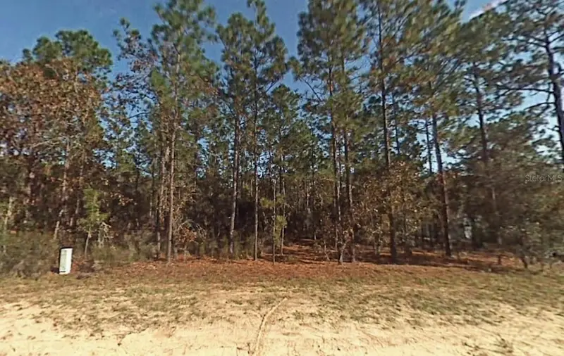 Lot 5 Sw 166th Court Rd, FL