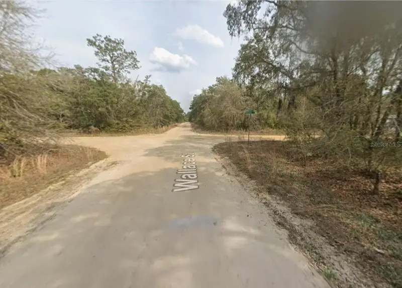 Lot 18 Wallace St, FL