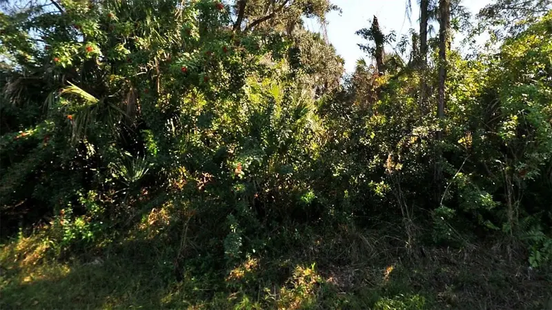 Tucson Rd, FL