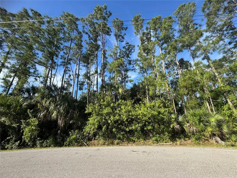 Lot 20 & 21 Gaucho Ter, FL