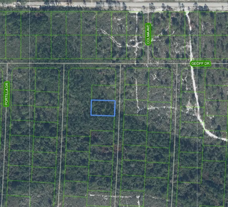 6569 Persis Dr, FL
