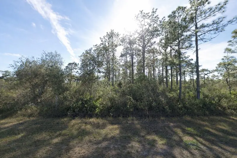 Gaillardia Dr, FL