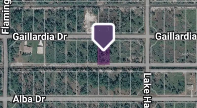 Gaillardia Dr, FL