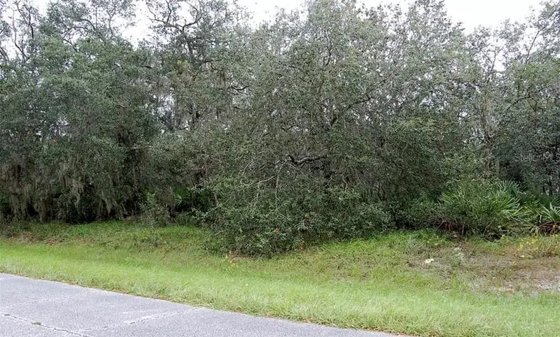 0 St Johns Ct, FL