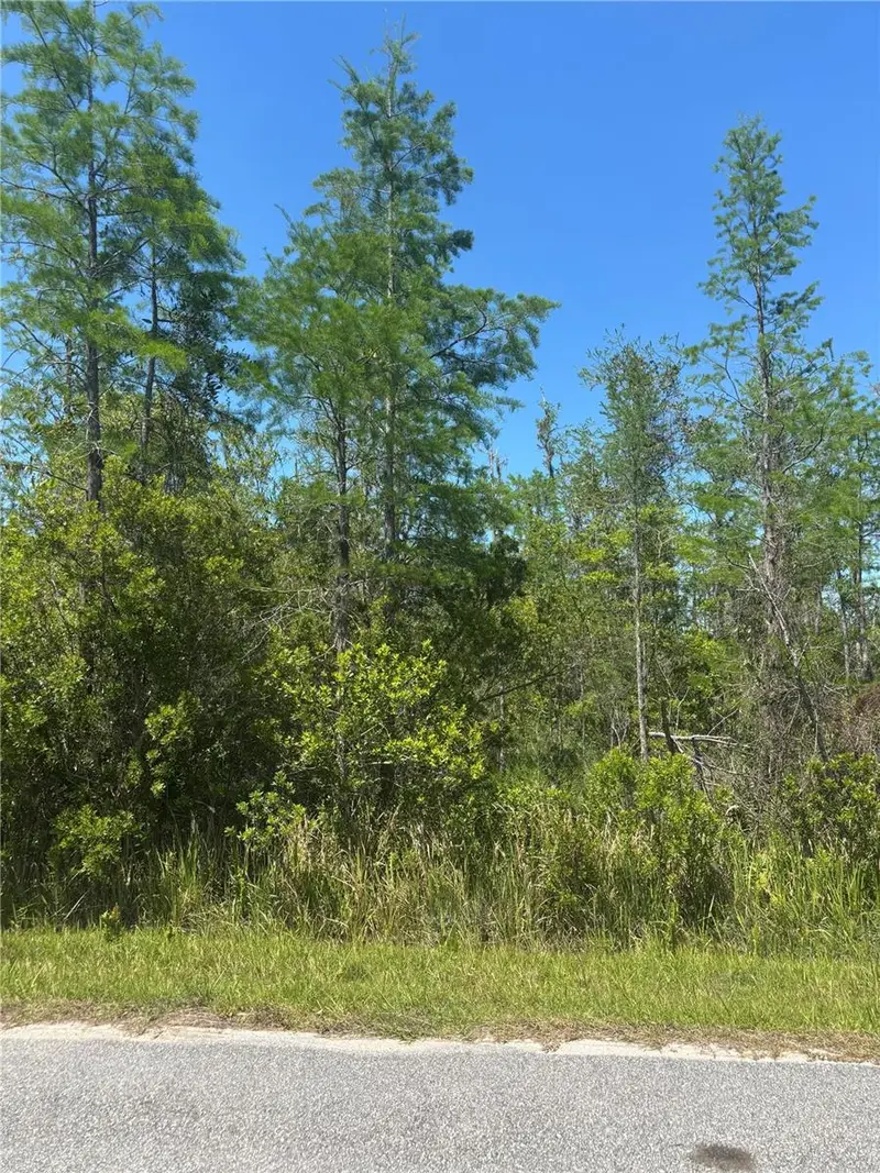 Atlas Dr, FL
