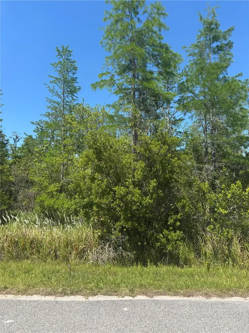 Atlas Dr, FL