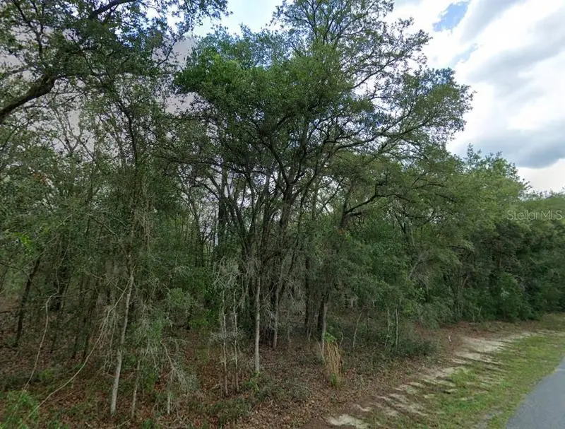 1449 E Wedgewood Ln, FL
