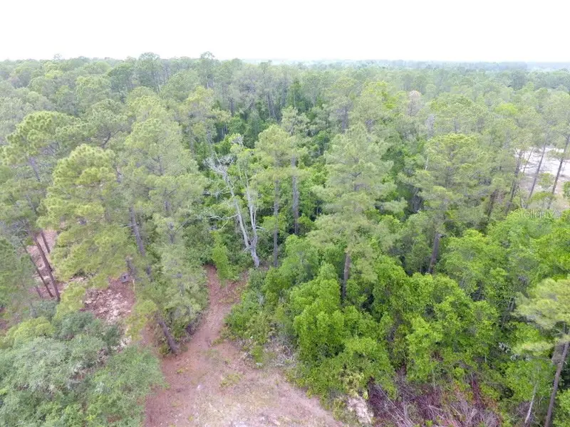 161 Snake Hill Rd, FL