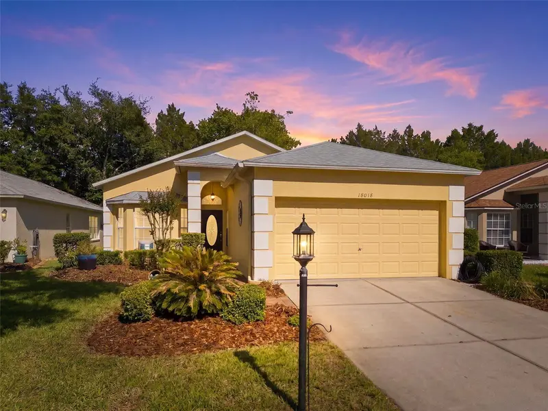 18018 Webster Grove Dr, FL