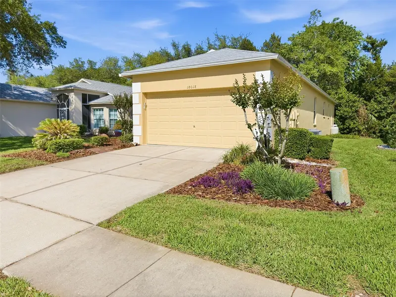 18018 Webster Grove Dr, FL