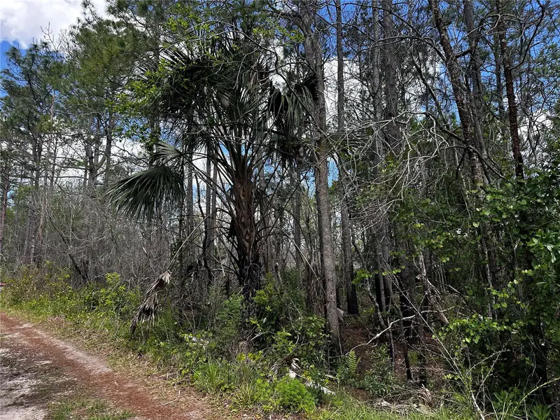 00 Kola Rd, FL