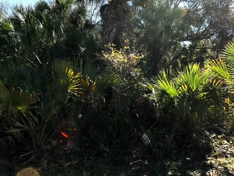 Lakeport St, FL