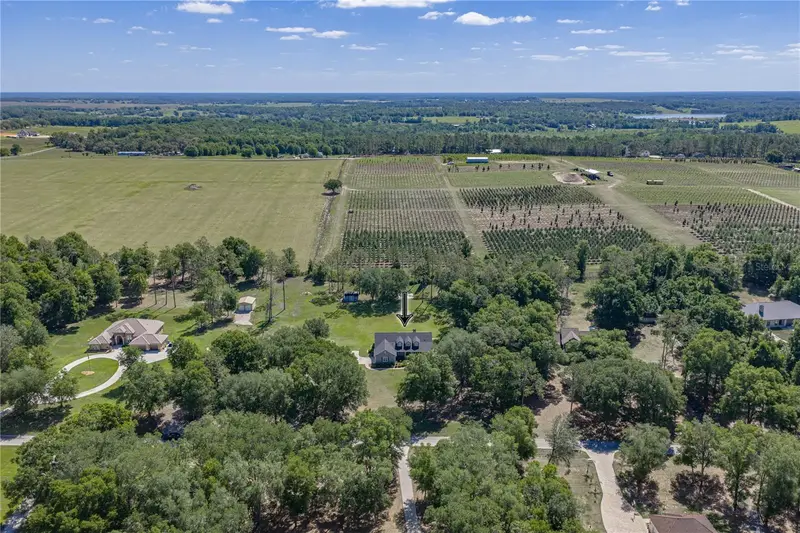 810 Savannah Oaks Dr, FL