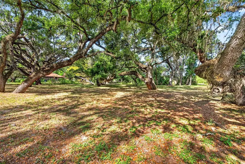 5355 Bernadette Dr, FL