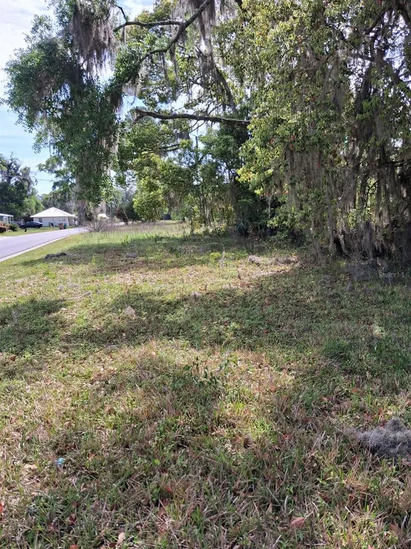 552 Ne Gurley Ave, FL