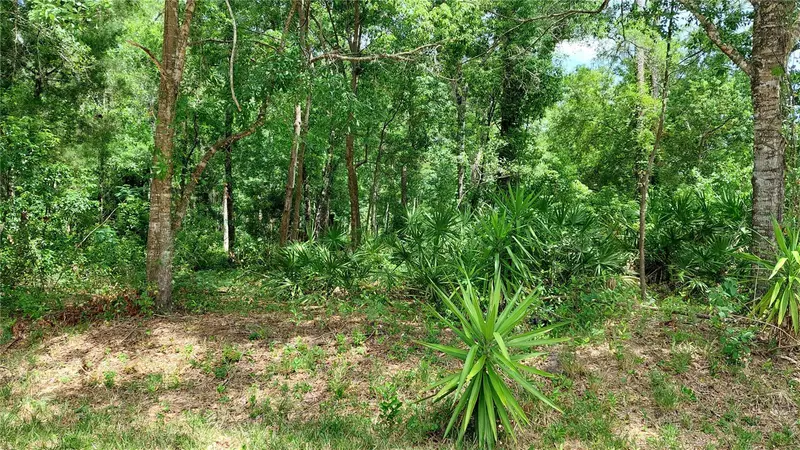 Davista, FL