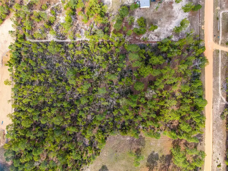 230 Melrose Landing Dr, FL