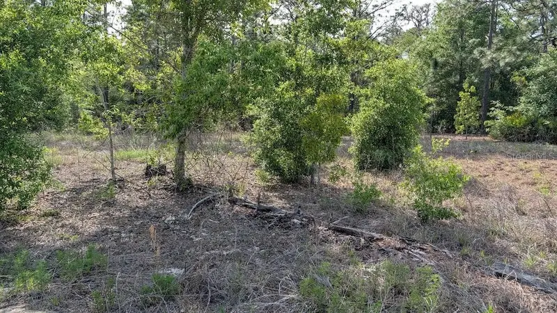 Lot 88 Sw 152 Nd Ct, FL