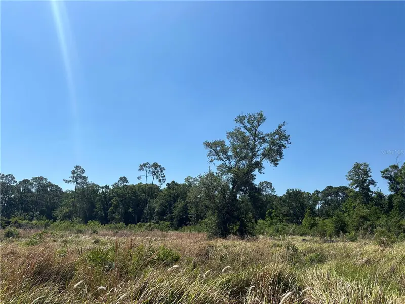Avonwood, FL