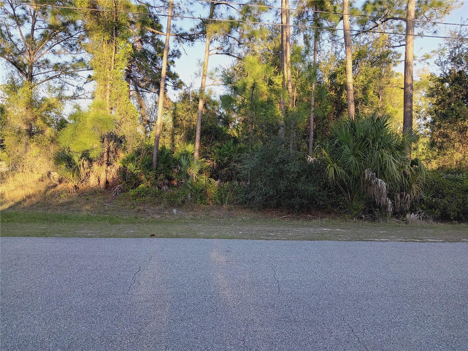 Lot 1 Tropicaire Blvd, FL