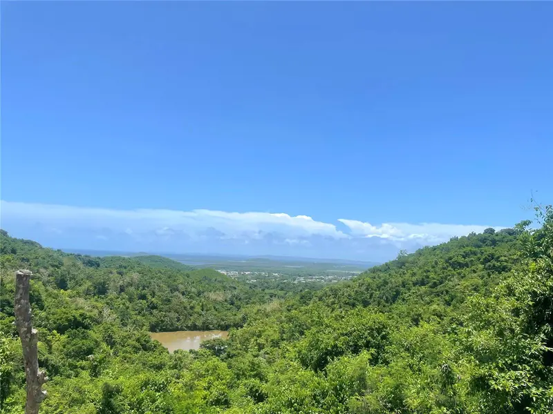 981, PR