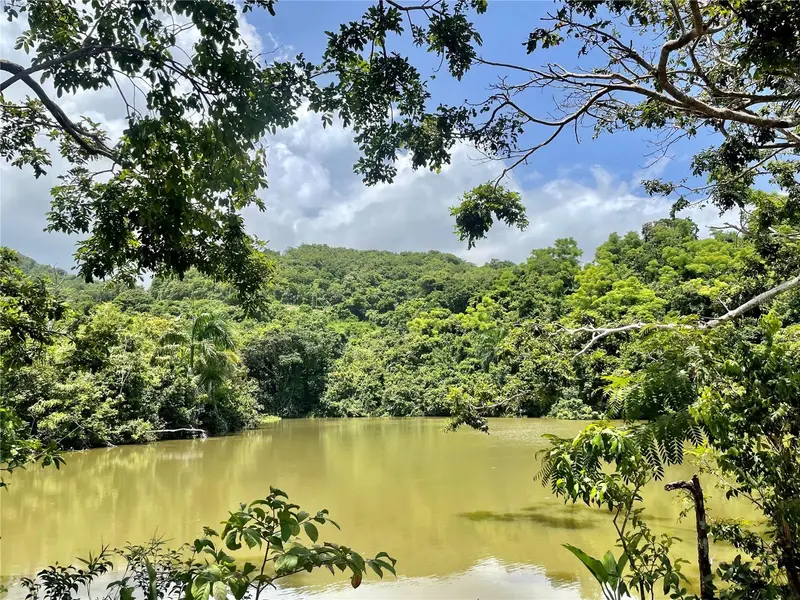 981, PR