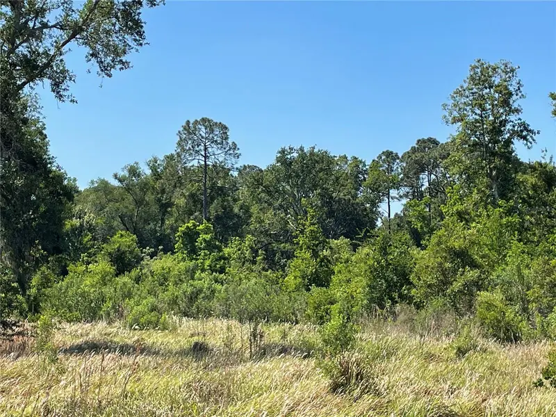 Avonwood, FL