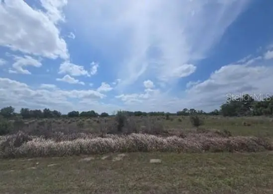 0 0 Artifact Dr, FL